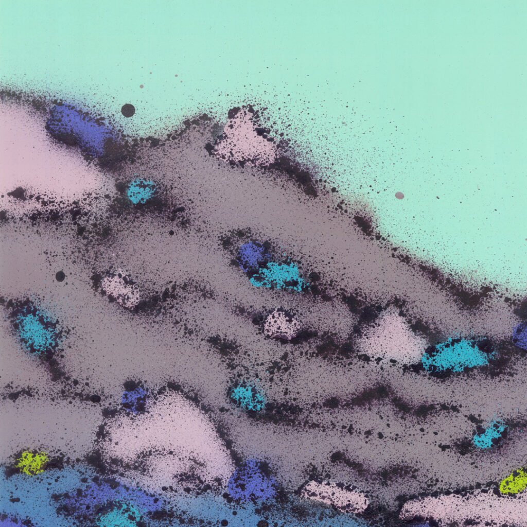 En la Zona del Valle