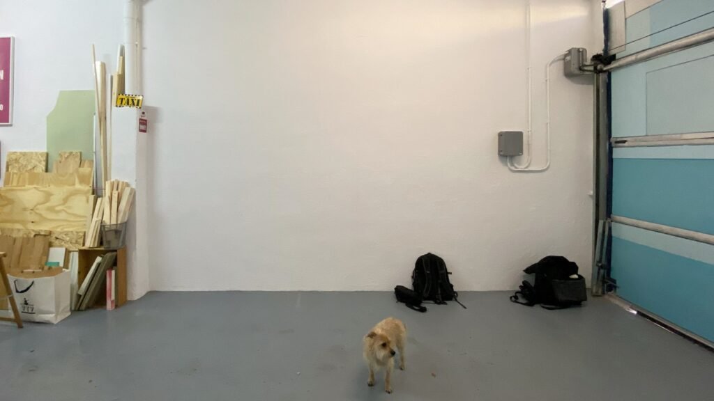 La pared blanca de la nave de Espacio Peseta, todavía vacía, con un perro pequeño en el suelo.
