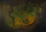 Ceniza verde