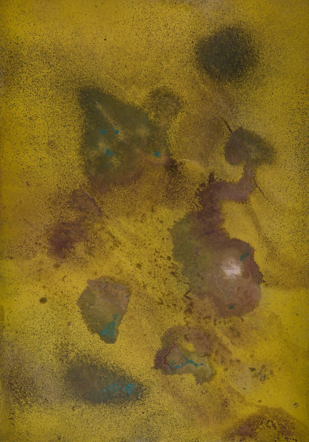 Charcos en la duna