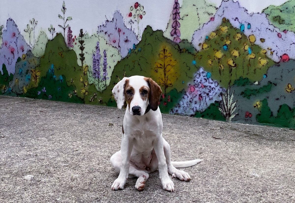Tula sentada en medio del pasillo, delante del mural